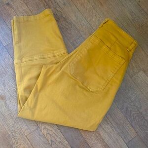 Everlane Utility Barrel Pants Size 00. Lightly worn. Warm camel color.